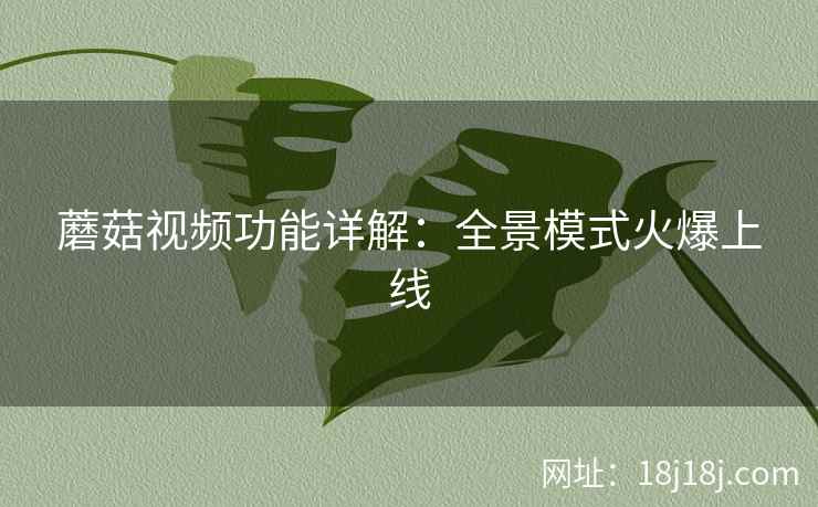 蘑菇视频功能详解：全景模式火爆上线