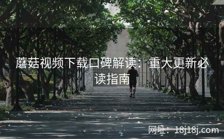 蘑菇视频下载口碑解读：重大更新必读指南