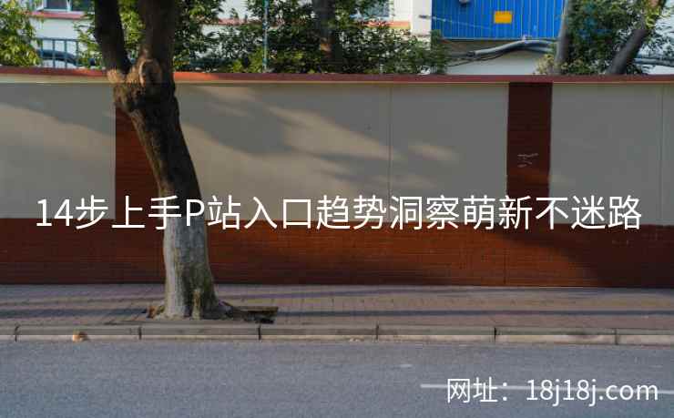 14步上手P站入口趋势洞察萌新不迷路