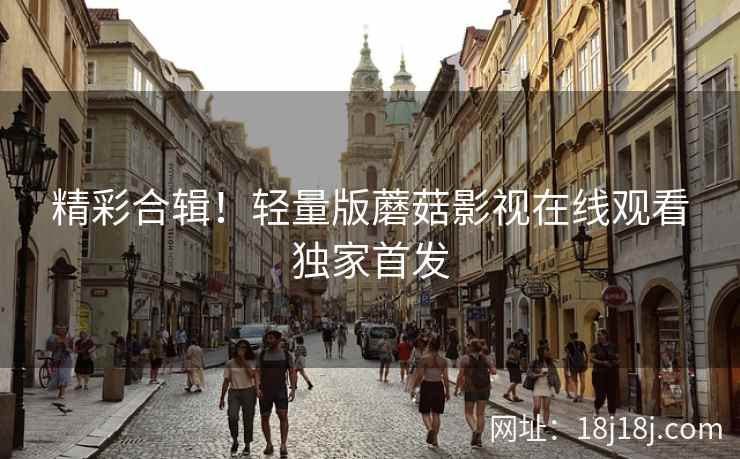 精彩合辑！轻量版蘑菇影视在线观看独家首发