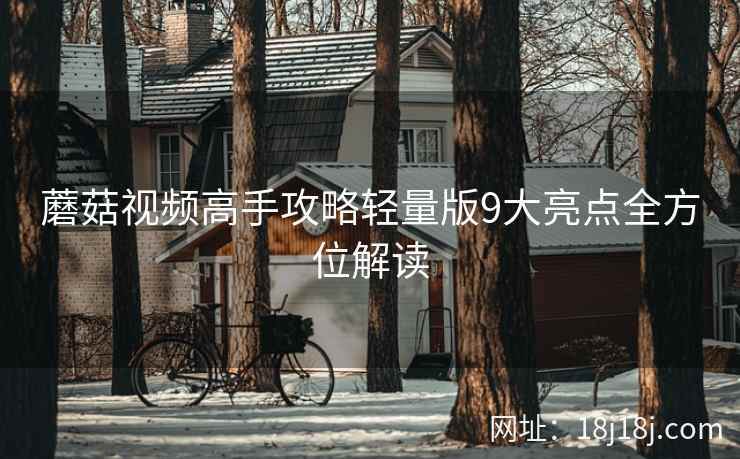 蘑菇视频高手攻略轻量版9大亮点全方位解读