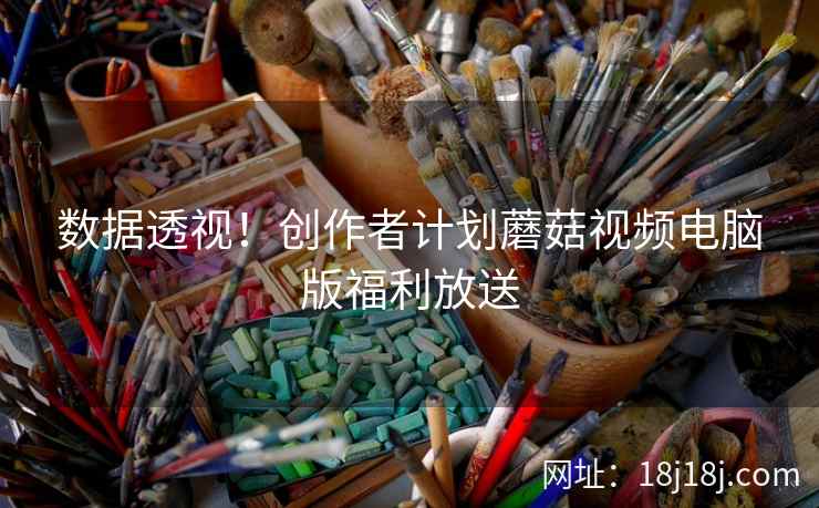 数据透视！创作者计划蘑菇视频电脑版福利放送